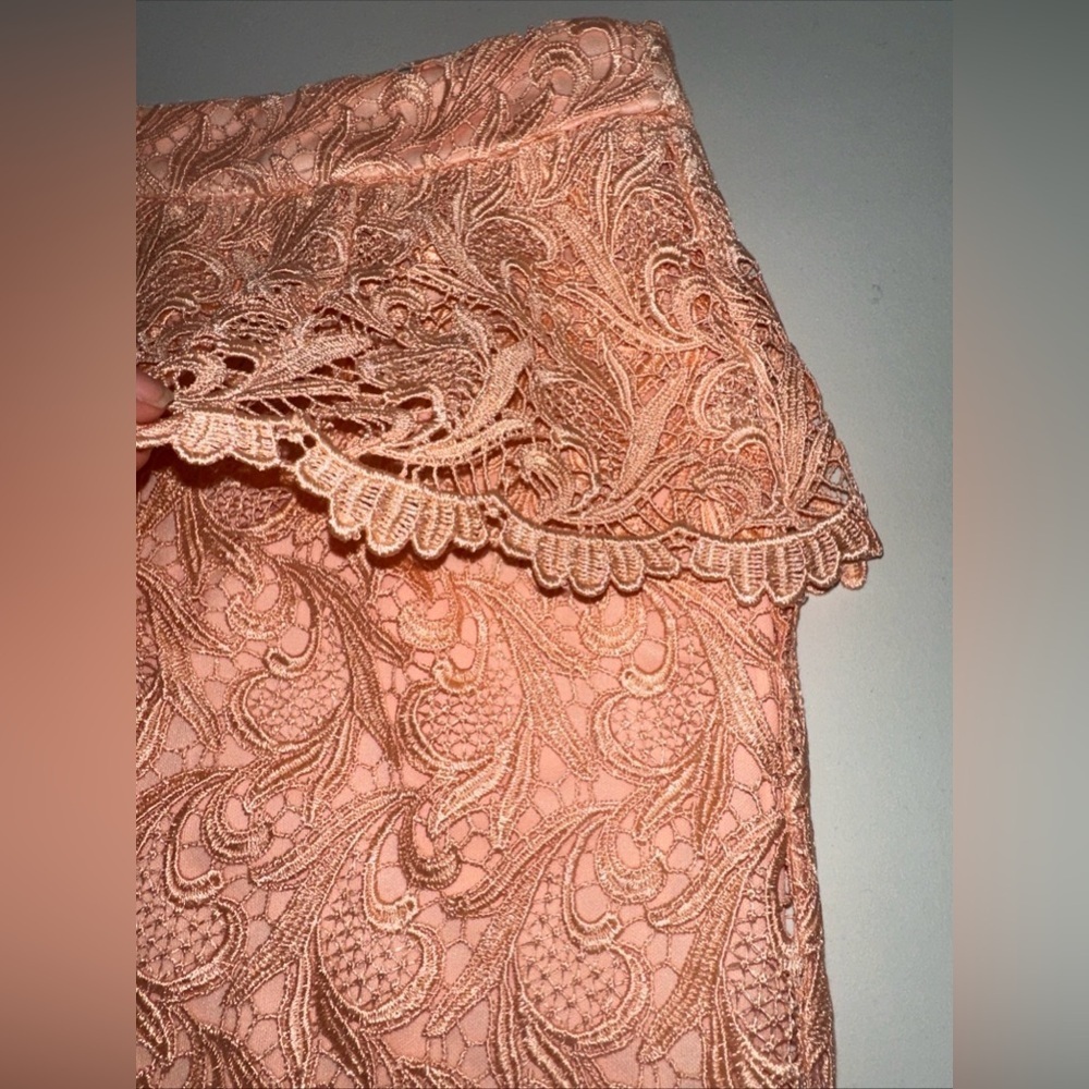 NWT Gianni Bini Sz S Women's Lace Pencil Mini Skirt Brynn  Light Salmon - Picture 2 of 7